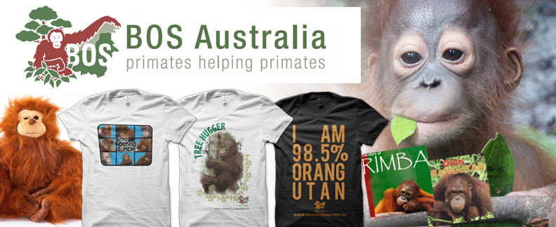 We are extremely excited to welcome BOS Australia to the Big Woolly family by supplying their online software and fulfillment.