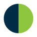 NAVY/LIME