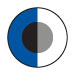 ROYAL/WHITE/BLACK/GREY