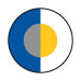 ROYAL/WHITE/GREY/GOLD