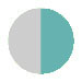 SILVER/TEAL