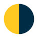 GOLD/NAVY