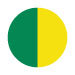 YELLOW/BOTTLE GREEN