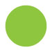 BRIGHT GREEN
