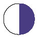 WHITE/PURPLE
